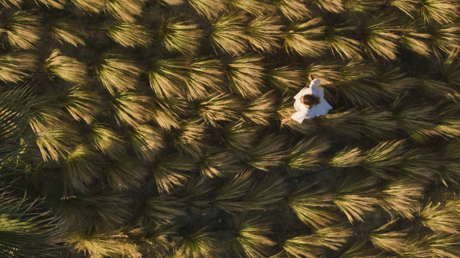 er_rho_elissa_lifestyle_aerial_woman_01.jpg