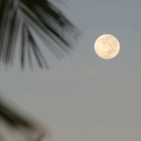 cover-alkyna-fullmoon.png